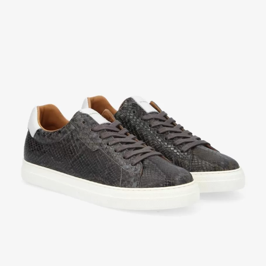Women schmoove Baskets & Sneakers<SPARK CLAY W